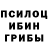 БУТИРАТ буратино Horror H
