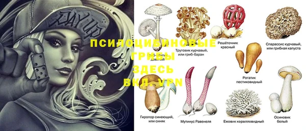 крисы Алексеевка